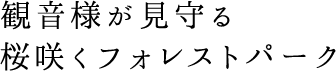 観音様が見守る桜咲くフォレストパーク