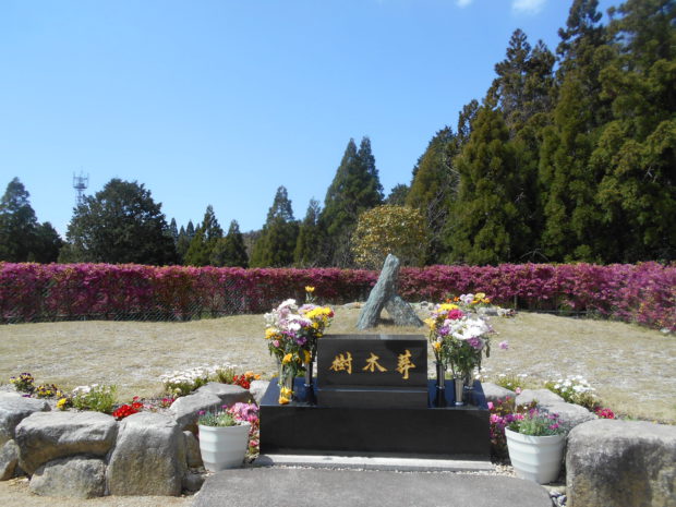 樹木葬とは｜福岡　霊園