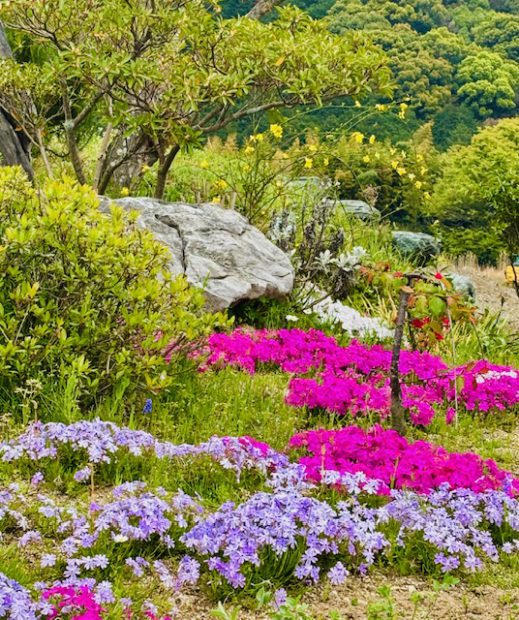 福岡の樹木葬｜フォレストパークあさくら