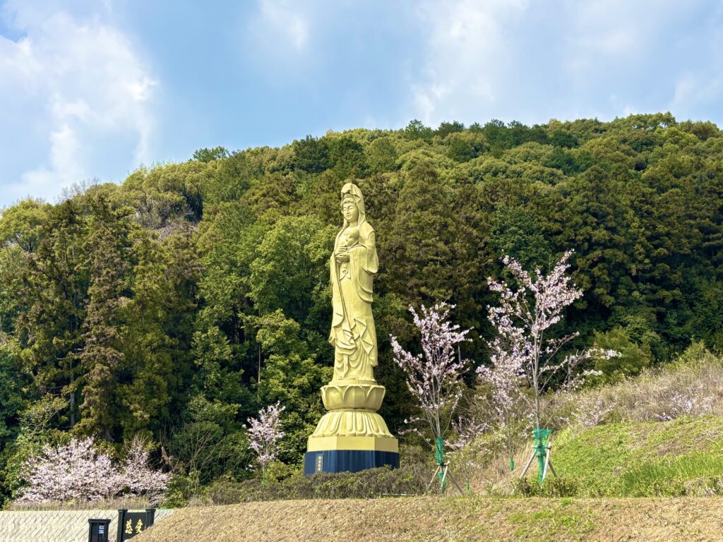福岡県朝倉市 フォレストパークあさくらに植えてある桜