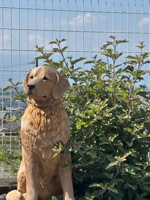 ペット供養墓|フォレストパークあさくら
